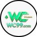 WC99 Game