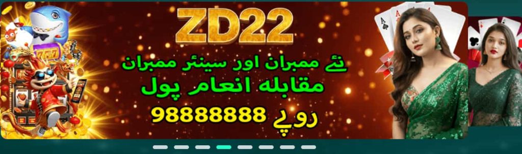 ZD22 Game