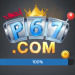 P67 Game