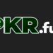 Pkrfun Game